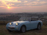 1958 Austin Healey Bugeye Sprite