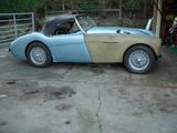 1954 Austin Healey 100