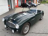 1957 Austin Healey 100 Six