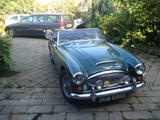 1967 Austin Healey 3000 BJ8