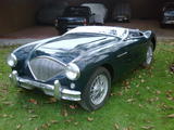 1954 Austin Healey 100