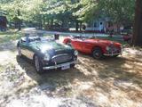 1964 Austin Healey 3000 BJ8