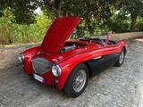 1956 Austin Healey 100M