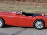 1954 Austin Healey 100
