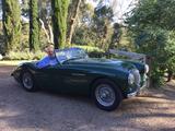 1955 Austin Healey 100
