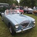 1955 Austin Healey 100