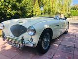 1955 Austin Healey 100