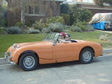 1959 Austin Healey Sprite