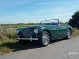 1955 Austin Healey 100