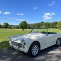 1962 Austin Healey Sprite