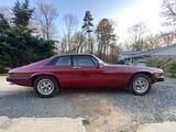 1979 Jaguar XJS