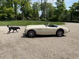 1954 Austin Healey 100
