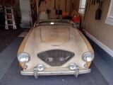 1956 Austin Healey 100