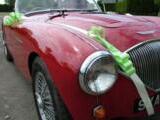 1956 Austin Healey 100