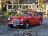 1954 Austin Healey 100