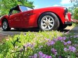 1956 Austin Healey 100