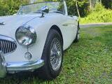 1962 Austin Healey 3000 BT7