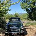1965 Austin Healey 3000 BJ8