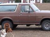 1991 Ford Bronco