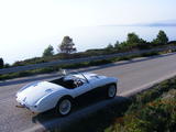 1953 Austin Healey 100 WHITE BLUE Graham Foster