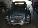 1953 Austin Healey 100 Blue Darryl Saylor